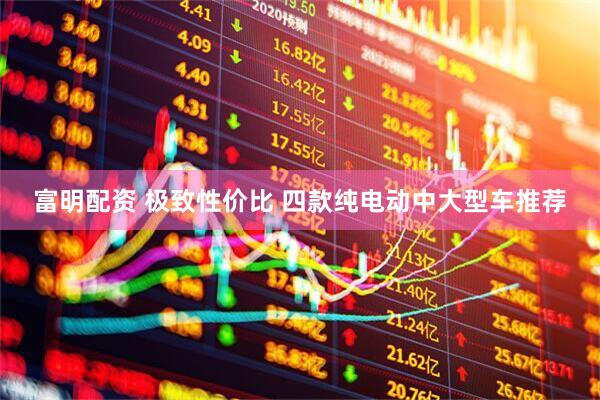 富明配资 极致性价比 四款纯电动中大型车推荐